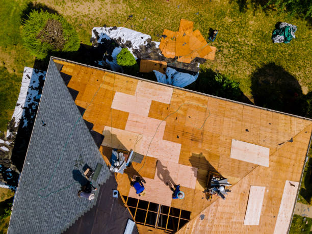 Roof Installation Near Me in Clermont, GA