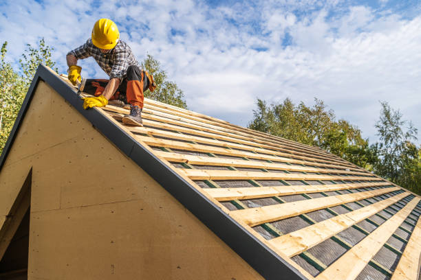 Best Residential Roof Replacement  in Clermont, GA