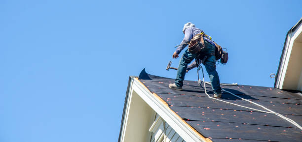 Best Roof Leak Repair  in Clermont, GA
